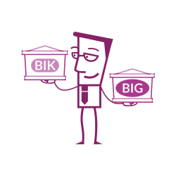 Wszystko co warto wiedzieć o BIK i BIG