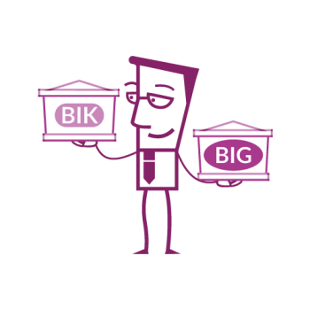Wszystko co warto wiedzieć o BIK i BIG