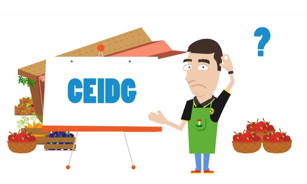 CEIDG - najważniejsze informacje