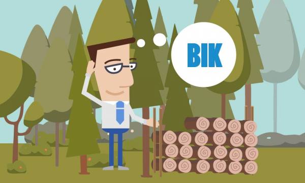 Jak wyczyścić historię w BIK?