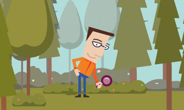 Podatek od kupna samochodu - formularz PCC 3