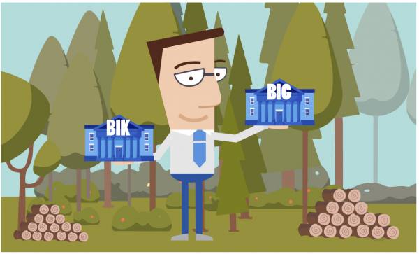 5 różnic między BIK a BIG